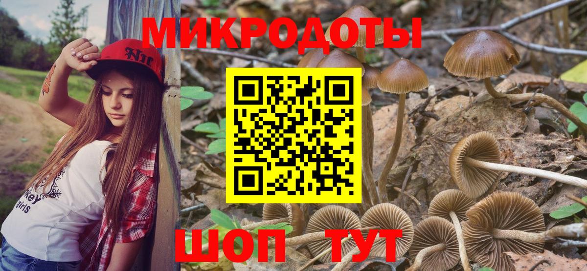 Галлюциногенные грибы мицелий Чебаркуль