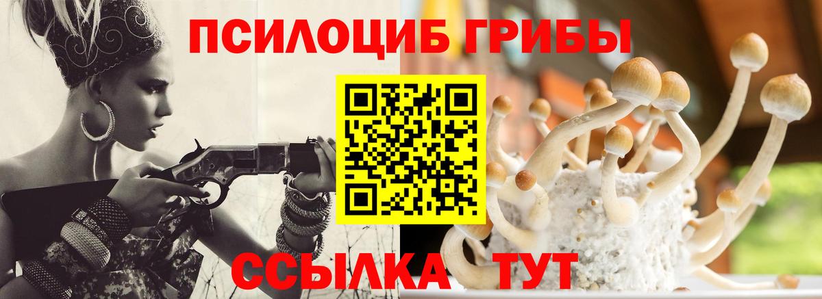 Чебаркуль  где продают   Вход с VPN  Галлюциногенные грибы прущие грибы 